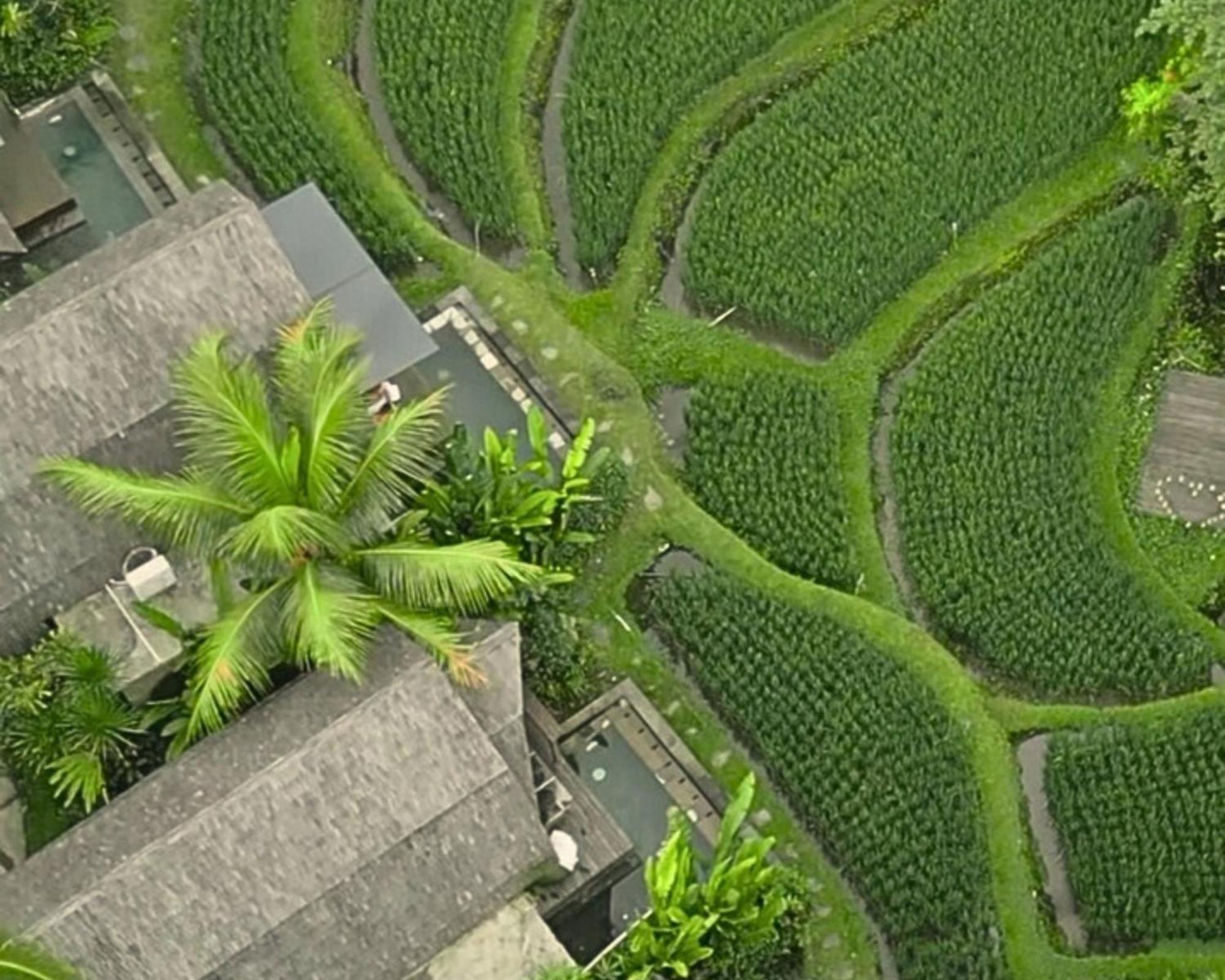 Menzel Ubud Exterior foto